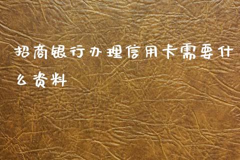 招商银行办理信用卡需要什么资料_https://m.ycdhulan.com_财经要闻_第1张