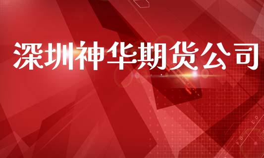 深圳神华期货公司_https://m.ycdhulan.com_期货交易_第1张