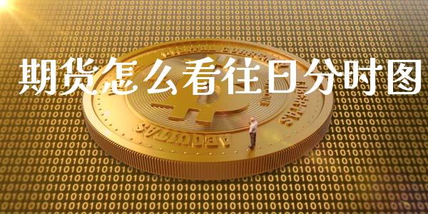 期货怎么看往日分时图_https://m.ycdhulan.com_股市在线_第1张