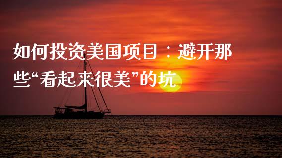 如何投资美国项目：避开那些“看起来很美”的坑_https://m.ycdhulan.com_理财产品_第1张