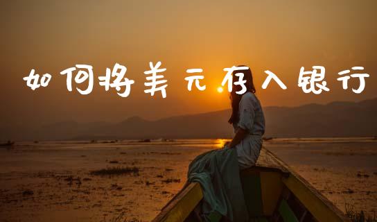 如何将美元存入银行_https://m.ycdhulan.com_股市在线_第1张