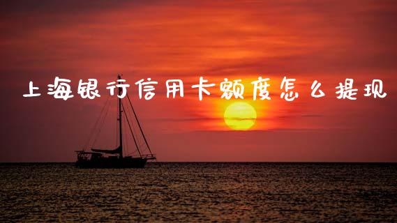 上海银行信用卡额度怎么提现_https://m.ycdhulan.com_理财产品_第1张
