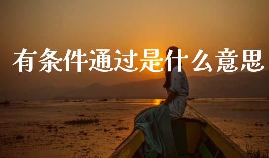 有条件通过是什么意思_https://m.ycdhulan.com_证券新闻_第1张