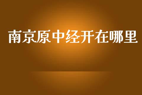 南京原中经开在哪里_https://m.ycdhulan.com_财经要闻_第1张