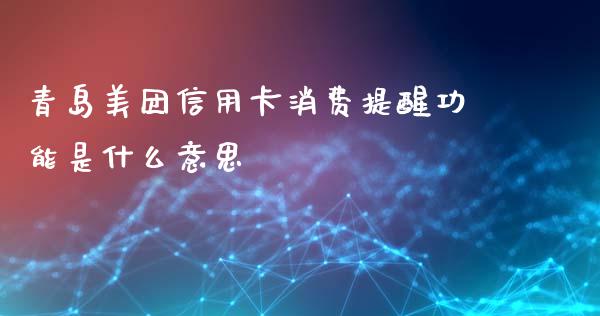 青岛美团信用卡消费提醒功能是什么意思_https://m.ycdhulan.com_期货交易_第1张