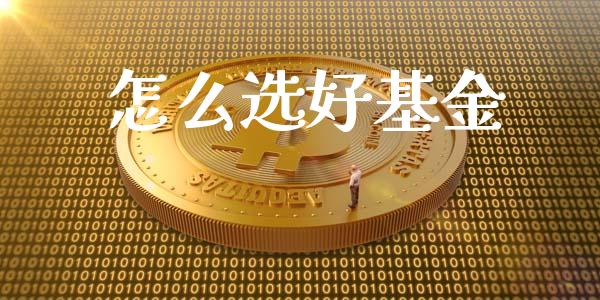 怎么选好基金_https://m.ycdhulan.com_期货交易_第1张