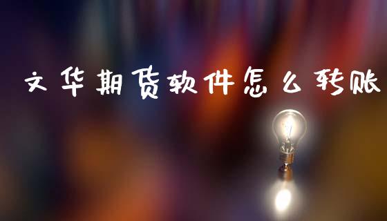 文华期货软件怎么转账_https://m.ycdhulan.com_证券新闻_第1张