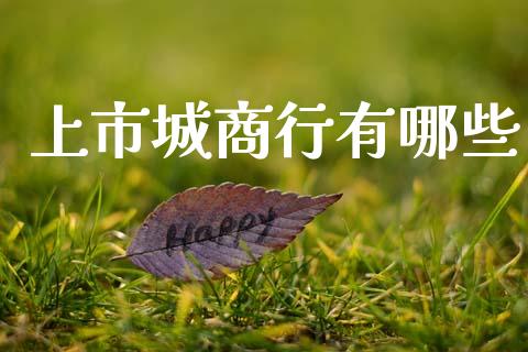 上市城商行有哪些_https://m.ycdhulan.com_国际金融_第1张