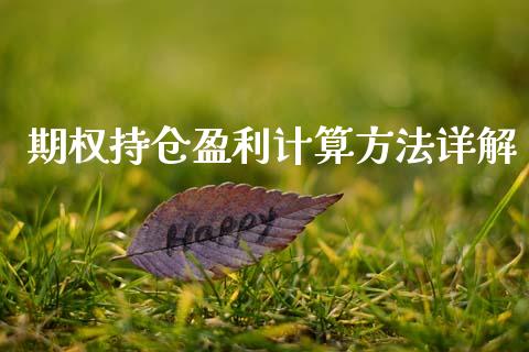 期权持仓盈利计算方法详解_https://m.ycdhulan.com_国际金融_第1张