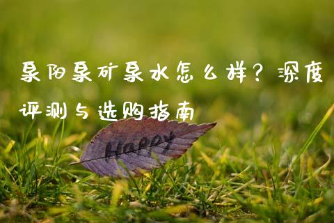 泉阳泉矿泉水怎么样？深度评测与选购指南_https://m.ycdhulan.com_理财产品_第1张