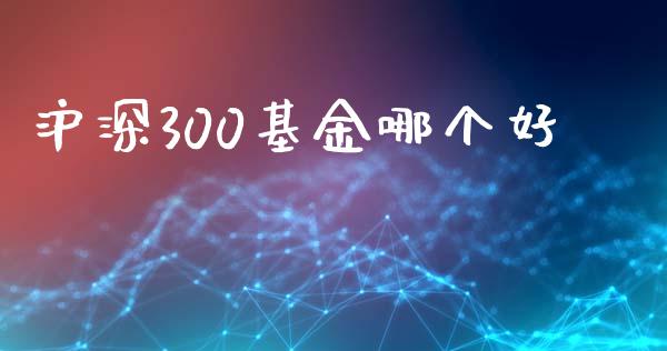 沪深300基金哪个好_https://m.ycdhulan.com_理财产品_第1张