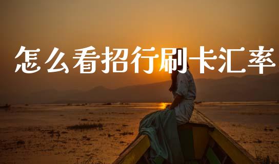 怎么看招行刷卡汇率_https://m.ycdhulan.com_国际金融_第1张