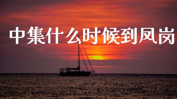 中集什么时候到凤岗_https://m.ycdhulan.com_证券新闻_第1张
