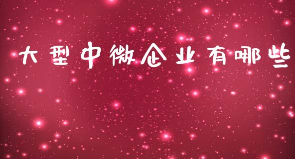 大型中微企业有哪些_https://m.ycdhulan.com_股市在线_第1张