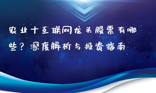 农业十互联网龙头股票有哪些？深度解析与投资指南_https://m.ycdhulan.com_理财产品_第1张
