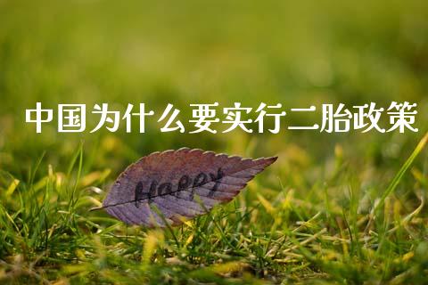 中国为什么要实行二胎政策_https://m.ycdhulan.com_股市在线_第1张