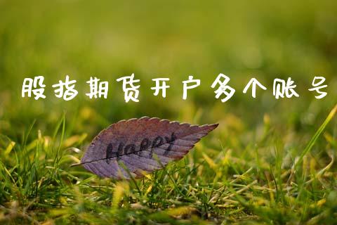 股指期货开户多个账号_https://m.ycdhulan.com_理财产品_第1张