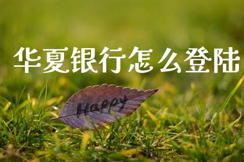 华夏银行怎么登陆_https://m.ycdhulan.com_财经要闻_第1张