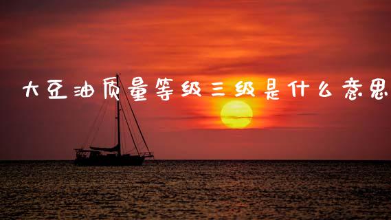 大豆油质量等级三级是什么意思_https://m.ycdhulan.com_证券新闻_第1张