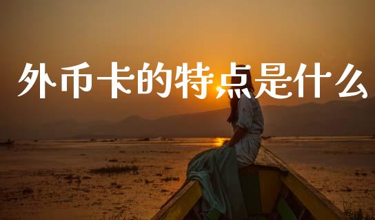 外币卡的特点是什么_https://m.ycdhulan.com_理财产品_第1张