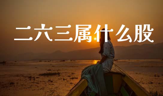 二六三属什么股_https://m.ycdhulan.com_国际金融_第1张