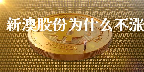 新澳股份为什么不涨_https://m.ycdhulan.com_股市在线_第1张