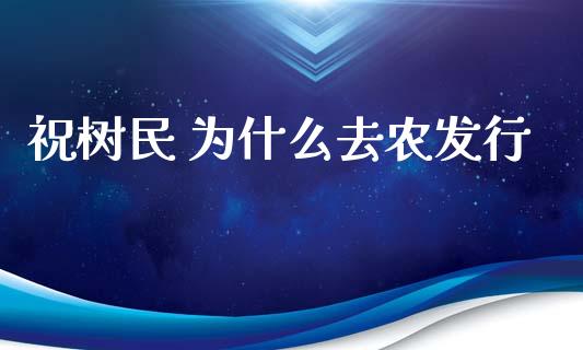 祝树民 为什么去农发行_https://m.ycdhulan.com_股市在线_第1张