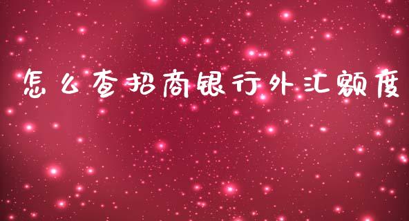怎么查招商银行外汇额度_https://m.ycdhulan.com_证券新闻_第1张