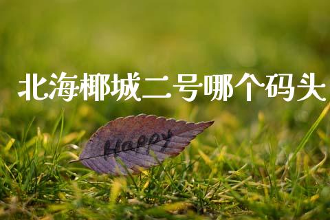 北海椰城二号哪个码头_https://m.ycdhulan.com_财经要闻_第1张