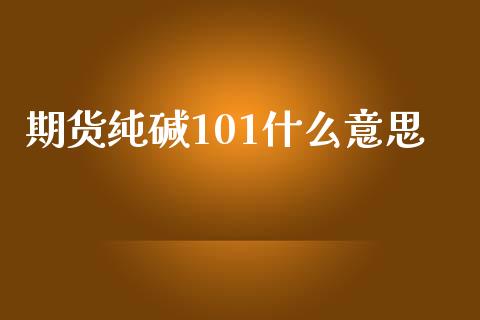 期货纯碱101什么意思_https://m.ycdhulan.com_期货交易_第1张