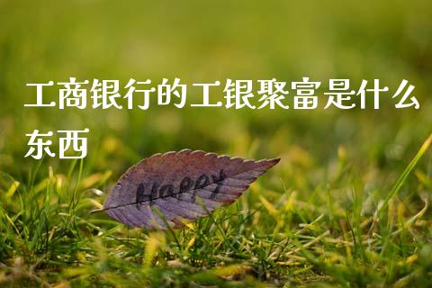 工商银行的工银聚富是什么东西_https://m.ycdhulan.com_财经要闻_第1张