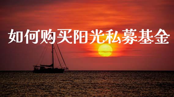 如何购买阳光私募基金_https://m.ycdhulan.com_股市在线_第1张