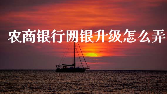 农商银行网银升级怎么弄_https://m.ycdhulan.com_国际金融_第1张