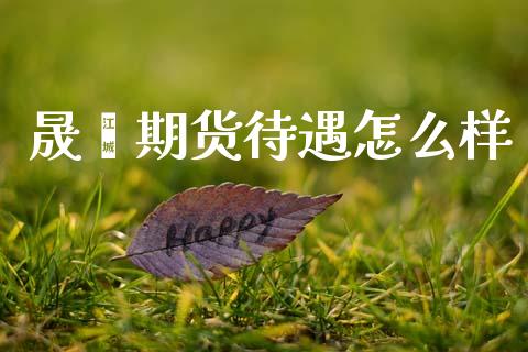 晟鑫期货待遇怎么样_https://m.ycdhulan.com_国际金融_第1张