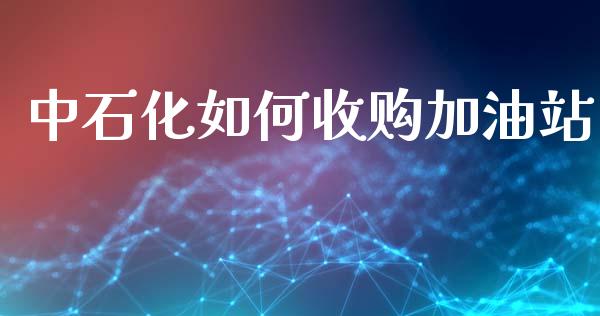 中石化如何收购加油站_https://m.ycdhulan.com_财经要闻_第1张