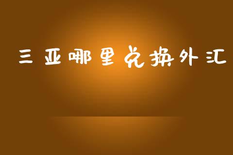 三亚哪里兑换外汇_https://m.ycdhulan.com_国际金融_第1张