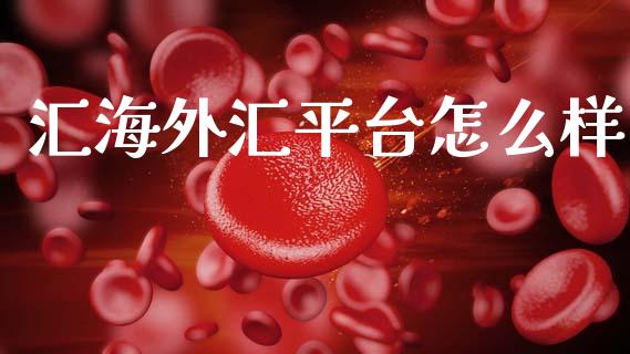 汇海外汇平台怎么样_https://m.ycdhulan.com_国际金融_第1张