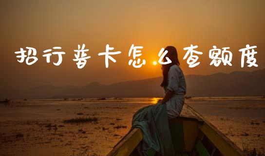 招行普卡怎么查额度_https://m.ycdhulan.com_证券新闻_第1张