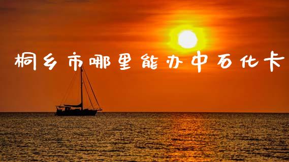 桐乡市哪里能办中石化卡_https://m.ycdhulan.com_财经要闻_第1张