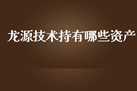 龙源技术持有哪些资产_https://m.ycdhulan.com_理财产品_第1张