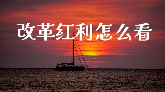 改革红利怎么看_https://m.ycdhulan.com_期货交易_第1张