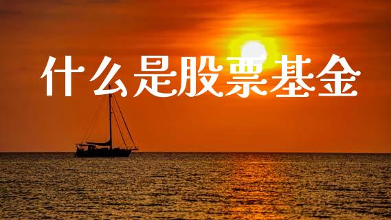什么是股票基金_https://m.ycdhulan.com_股市在线_第1张