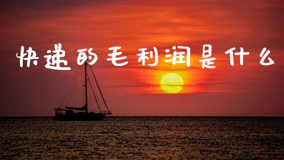 快递的毛利润是什么_https://m.ycdhulan.com_理财产品_第1张