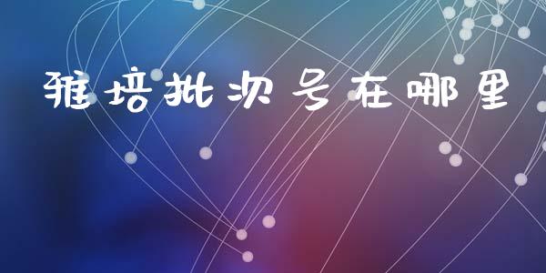 雅培批次号在哪里_https://m.ycdhulan.com_证券新闻_第1张