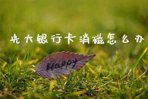 光大银行卡消磁怎么办_https://m.ycdhulan.com_证券新闻_第1张