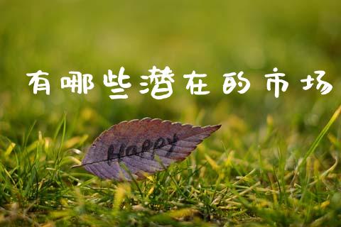 有哪些潜在的市场_https://m.ycdhulan.com_股市在线_第1张