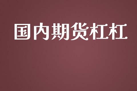 国内期货杠杠_https://m.ycdhulan.com_期货交易_第1张