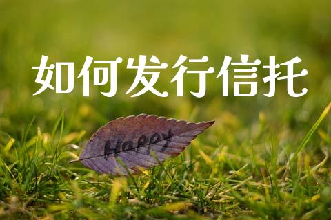 如何发行信托_https://m.ycdhulan.com_财经要闻_第1张