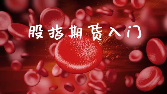 股指期货入门_https://m.ycdhulan.com_财经要闻_第1张