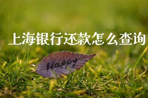 上海银行还款怎么查询_https://m.ycdhulan.com_财经要闻_第1张